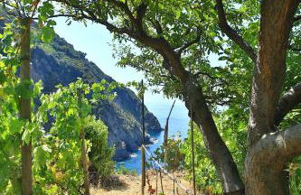 5 Terre For You - Foto 18