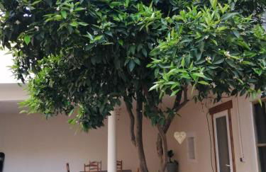 Lumi Appartement avec Patio et jardin - Photo 2