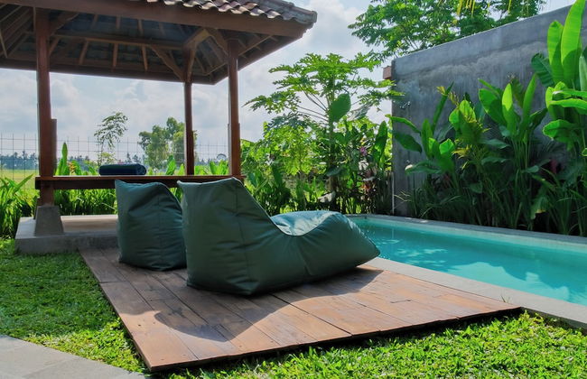 Rumah Tengah Sawah - Foto 13