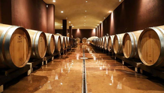 Bardolino Winery Tour - Foto 2