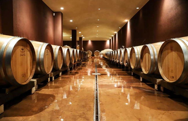 Visita a una cantina di Bardolino - Foto 1