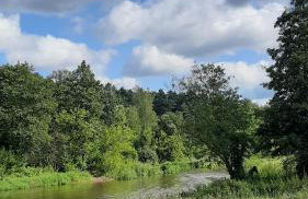 Pasieka Dobro i Smak - Foto 21