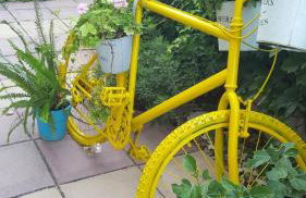 Yolanda Studios - Photo 28