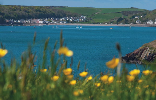 Caradog - 1 Bedroom - St Ishmael's - Foto 33