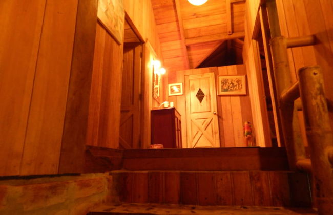 Dogs and Fish Dream Land - Foto 28