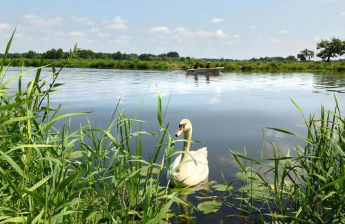Glass Loft With Endless Water View - Foto 14