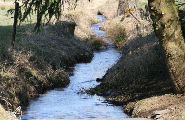 Vintage Farmhouse With Garden, Roofed Terrace - Photo 38