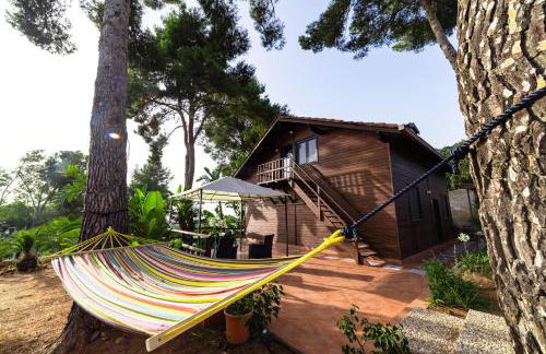 Villa Rosemary - Photo 73