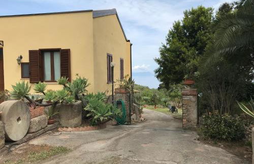 Bouganville in Villa Greco - Foto 35