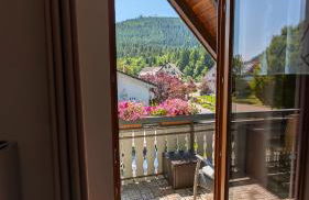 Green House - Foto 20