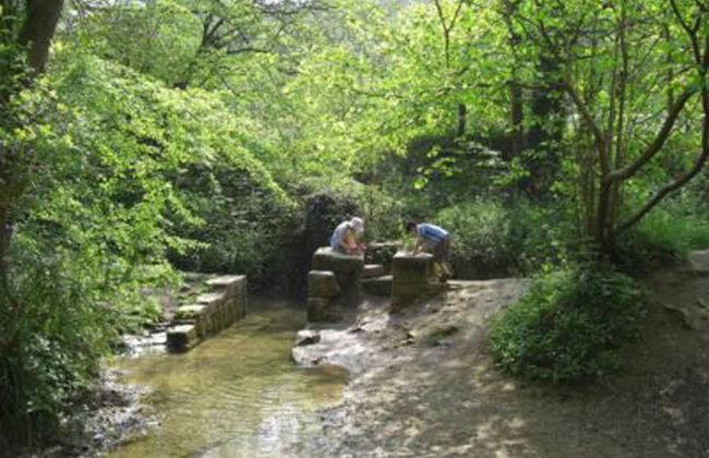 Cotswolds Valleys Accommodation Springfl - Foto 16