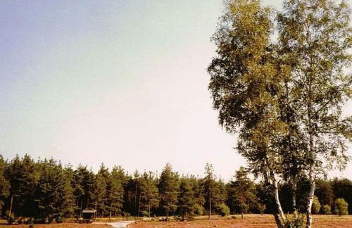 One-bedroom apartment - Foto 22