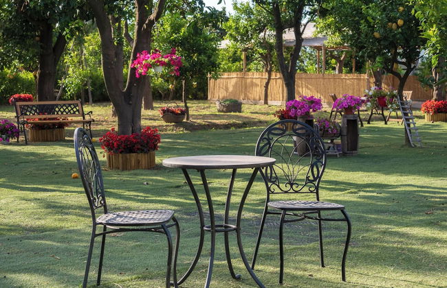 Giardino di Nonno Lucio - Foto 47