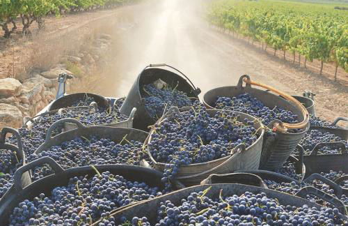 Escapada rural en Nulles, cerca de Tarragona - Foto 19