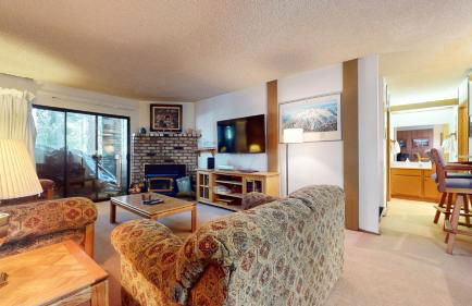 Summit Condominium #267 Condo - Foto 5