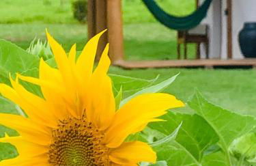 Chale Vale das Cachoeiras - Foto 29