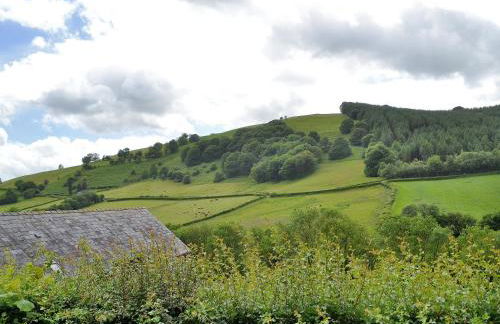 Upper Ffinnant - Photo 18