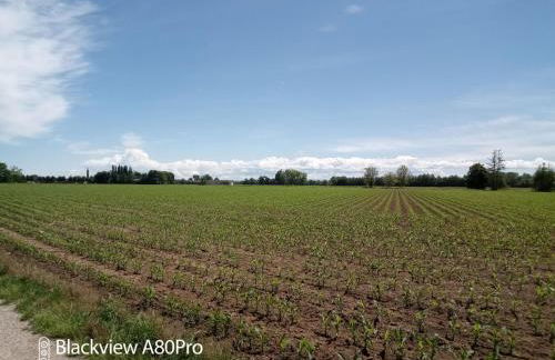 Shanti Ca' casa indipendente con giardino - Foto 26