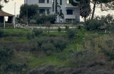 Acra Melia - Foto 51