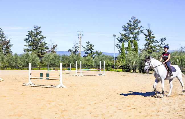 Tipologia Bilocale - Foto 51