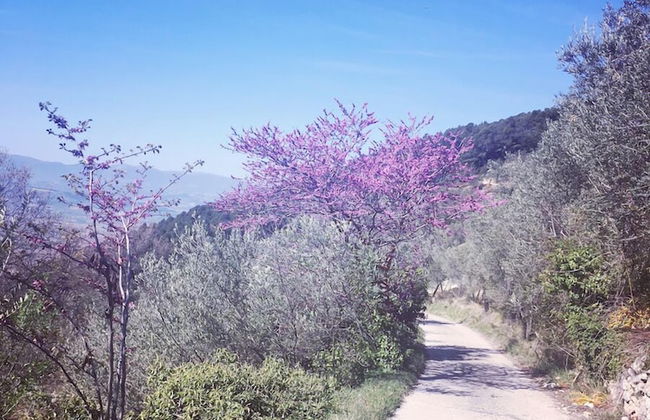 Casa di Led - Foto 39