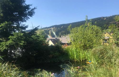 Fewo-Michi - Foto 10