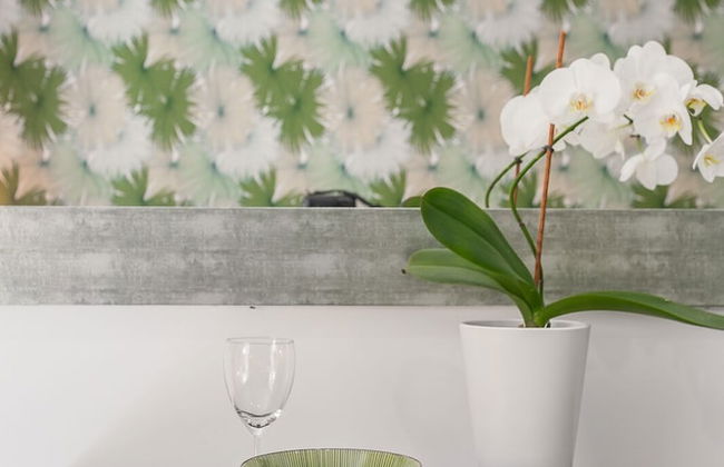 My Pad Provence - Foto 3