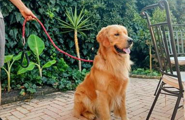 Tratturo dei Greci, biocasa vacanza - Foto 56