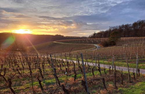 Ferienhaus Klara - Foto 16