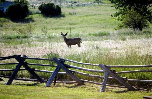 Family-Friendly Cabin Rental with Free Wi-Fi in Bitterroot Valley of Montana - Foto 19