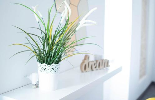 VILLA LATINI - Ideal for a family vacation. Heated pool. Local breakfast optional available - Foto 50