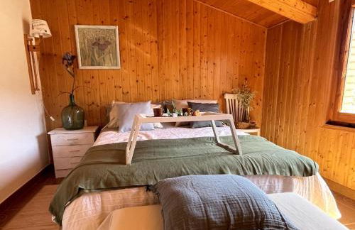 Encanto en el Moncayo - Photo 8