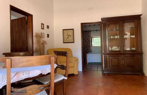 Casa dos Pécoxinhos - Photo 59