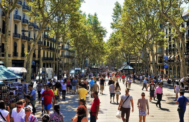 Tour completo por Barcelona em grupo reduzido com ingressos - Foto 3