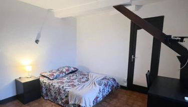 ô Bogros - vieux Château-Chinon - Foto 4