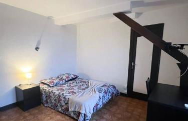 ô Bogros - vieux Château-Chinon - Foto 4