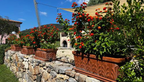 Villa Aiali - Foto 2, Garden