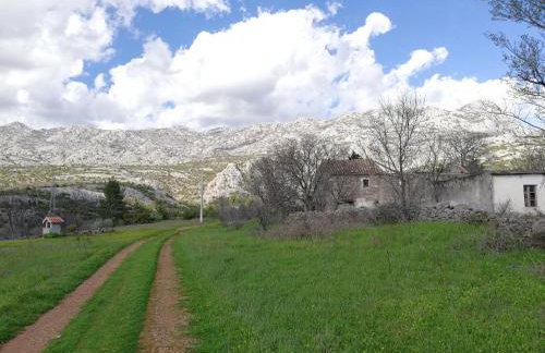 APARTMAN MAJSTOROVIĆ - Photo 50