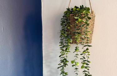 Rochester House - Foto 11