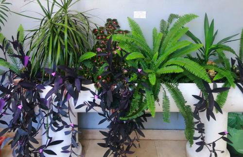 Apartman Monika - Foto 16