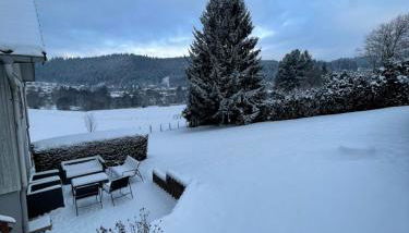 Chalet Le Cèdre Bleu 10 p - 10 min de Gérardmer - Foto 2