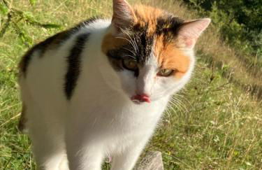 Ferienwohnung Aussicht, Monheimer Alb, Altmühltal - Foto 62