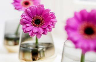 PHENOMENAL 5bedroom DESIGN HOUSE FOR NOMADS XXL GROUPS - Foto 8