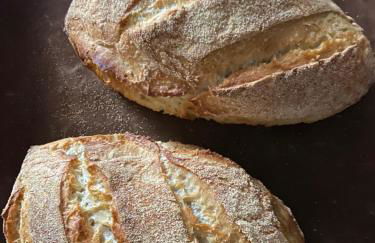 Ostalon de Sénégats - Foto 29