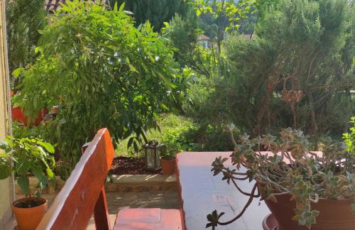 Apartman Roža - Photo 19