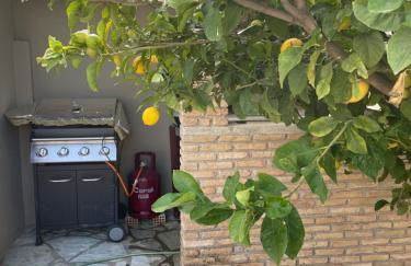 D&M LIVING STUDIO Patra - Photo 22