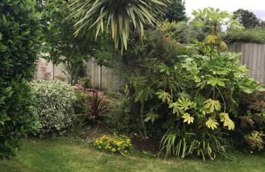 Top of the House - Photo 17