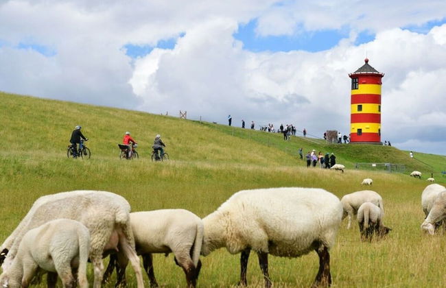 Cosy Holiday Home Near the Centre - Foto 11