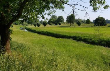 Gästewohnung Wasserzucht - Foto 20