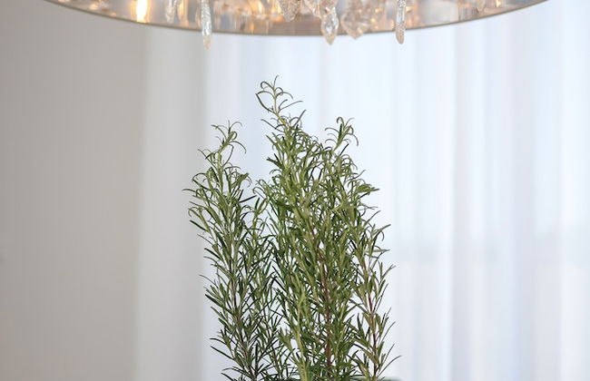 Luxury villas Sunrise & Sunset - Foto 52